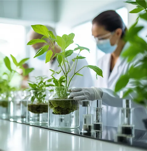 Laboratoire de recherche cosmétique BIO et Ethique